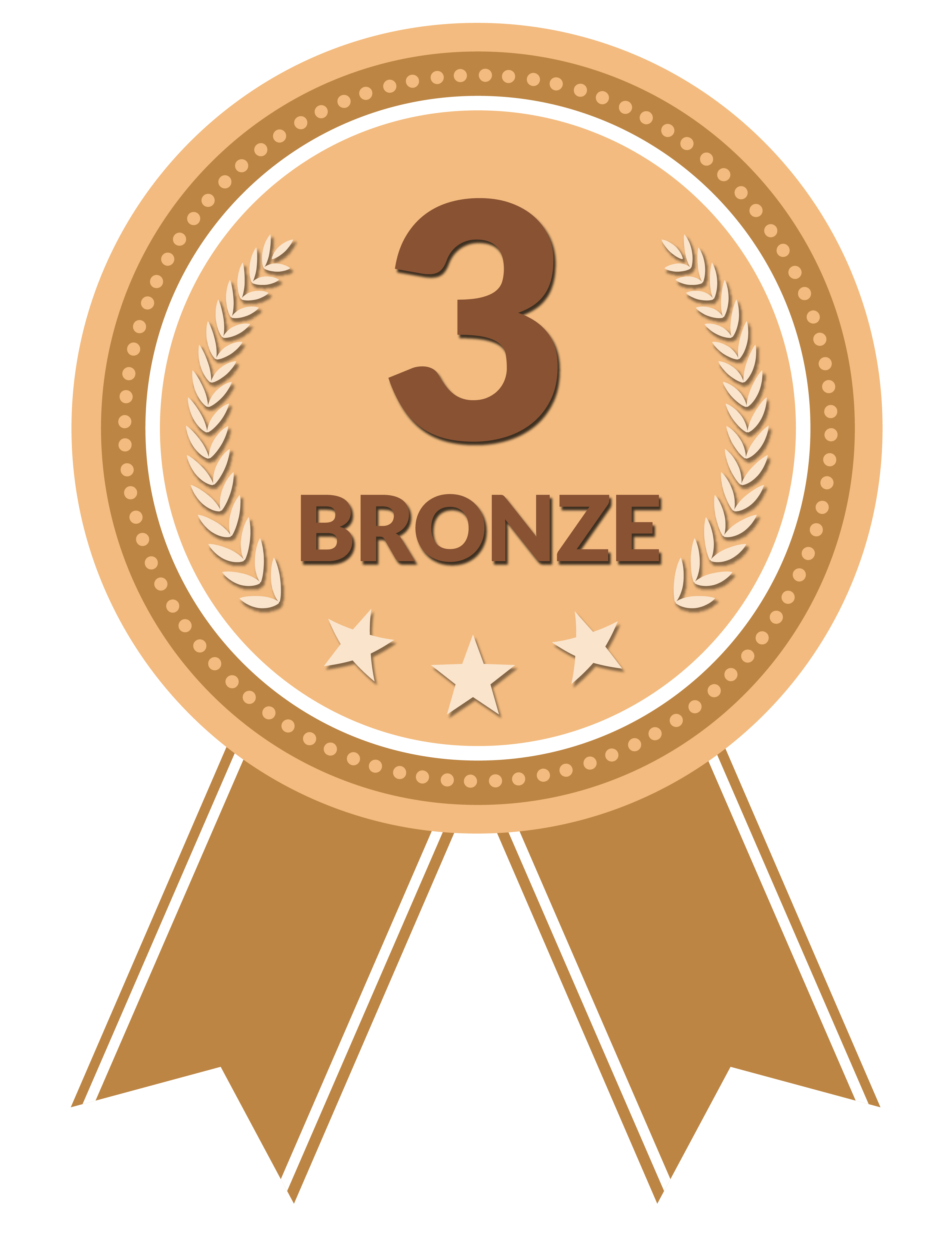 Bronze Award