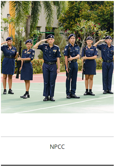 CCA Activity 1