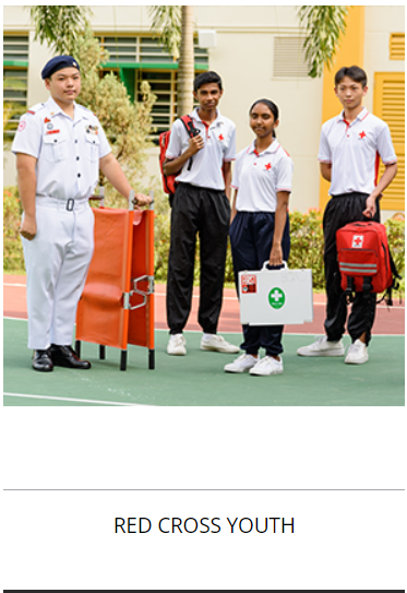 CCA Activity 2