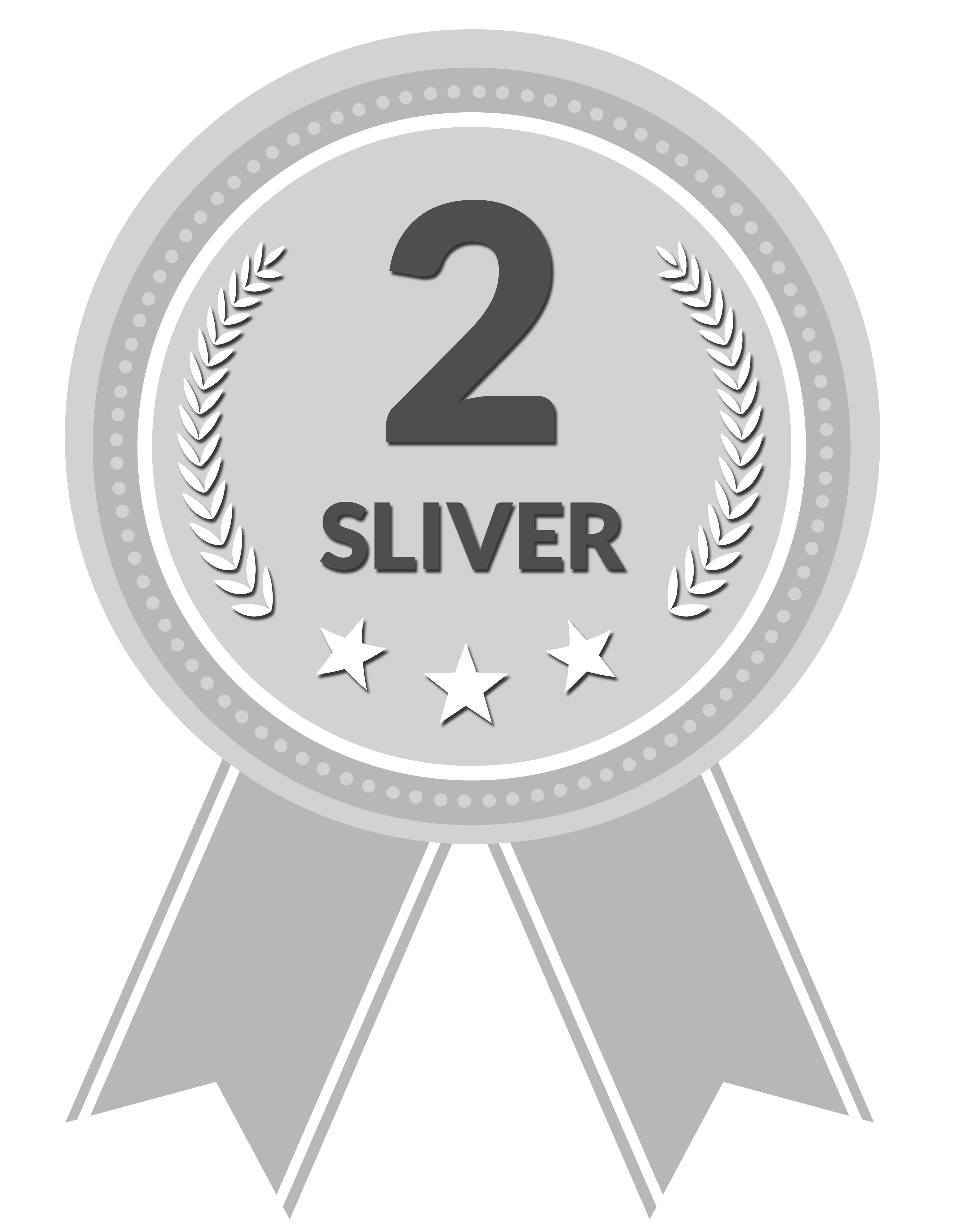 Silver Award